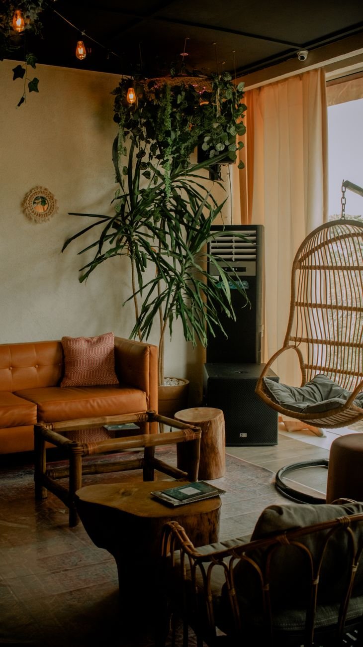 sofa coffee table and houseplant in living room