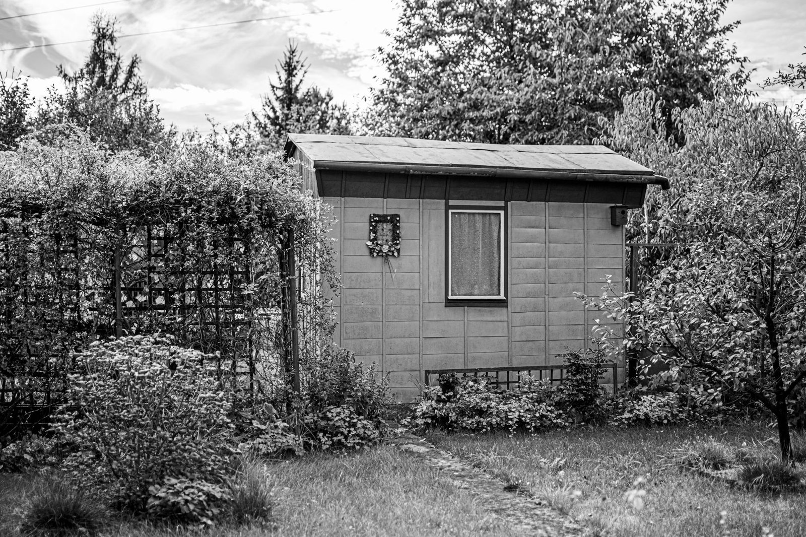 black and white garden shed in lush surroundings